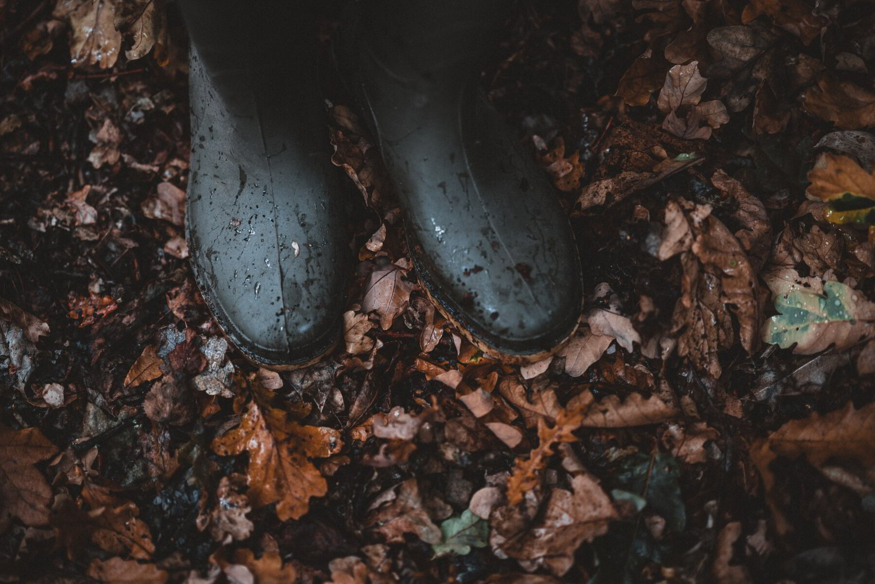 Love Like God: Considering Our Gifts for 2021*