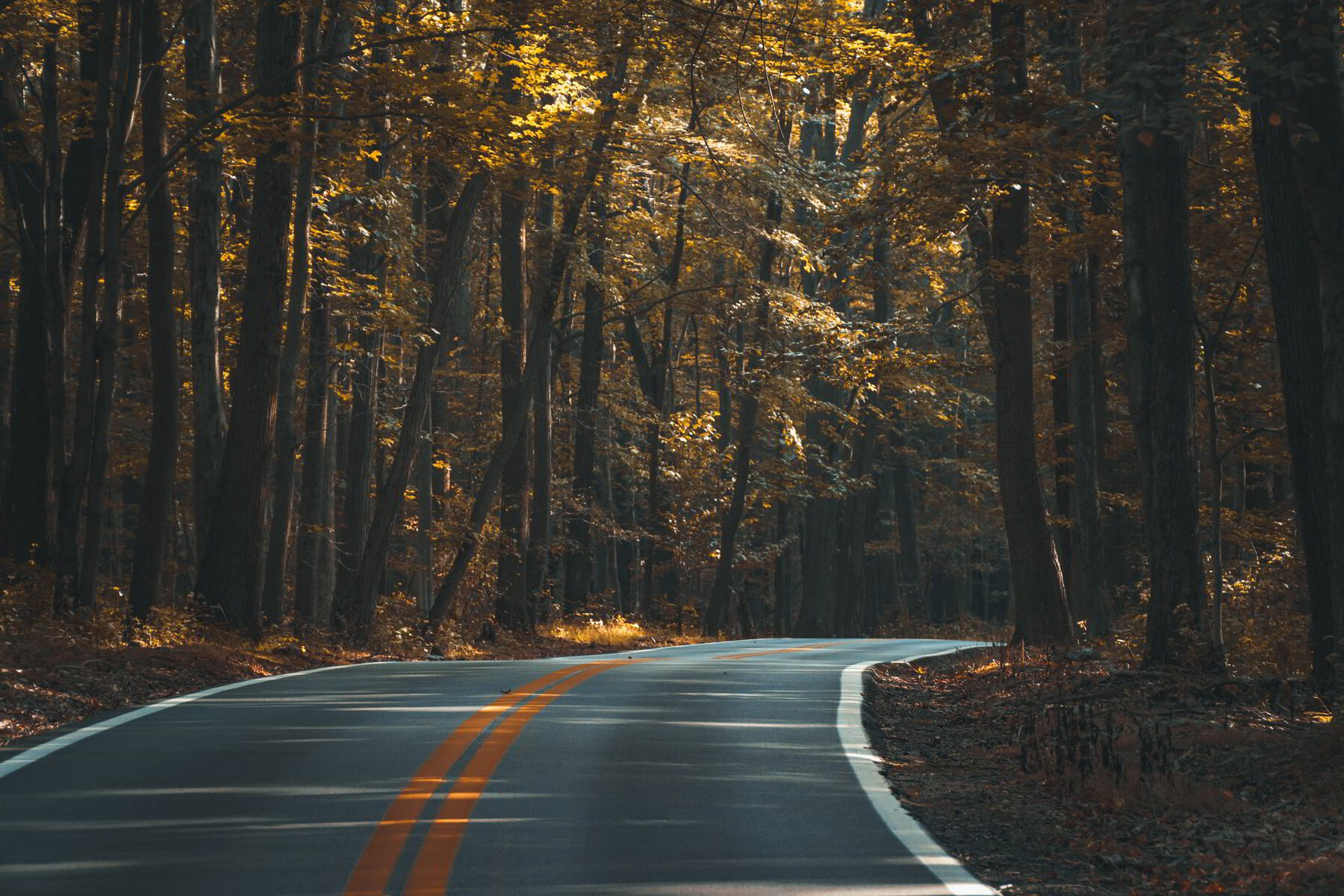 Praying When It’s Hard: Praying Through Confusion