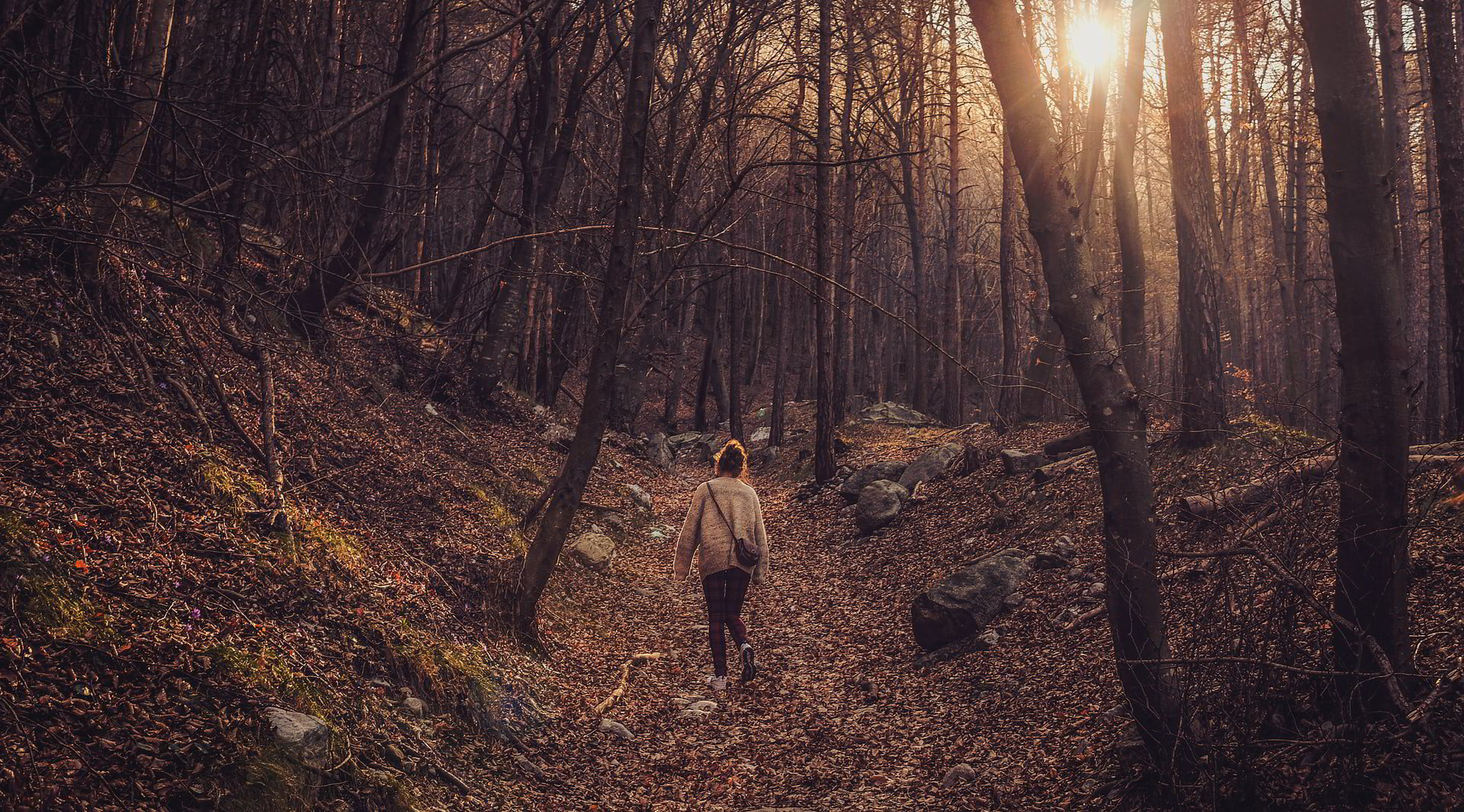 Growth in the Spirit: Walking in the Woods