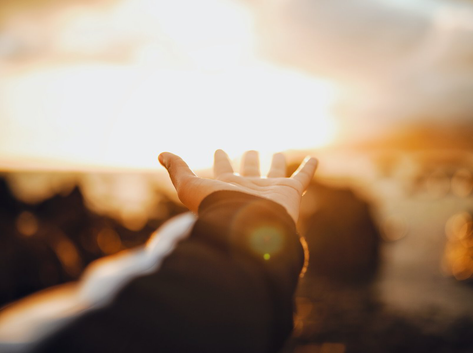 To Know, To Love, and To Follow