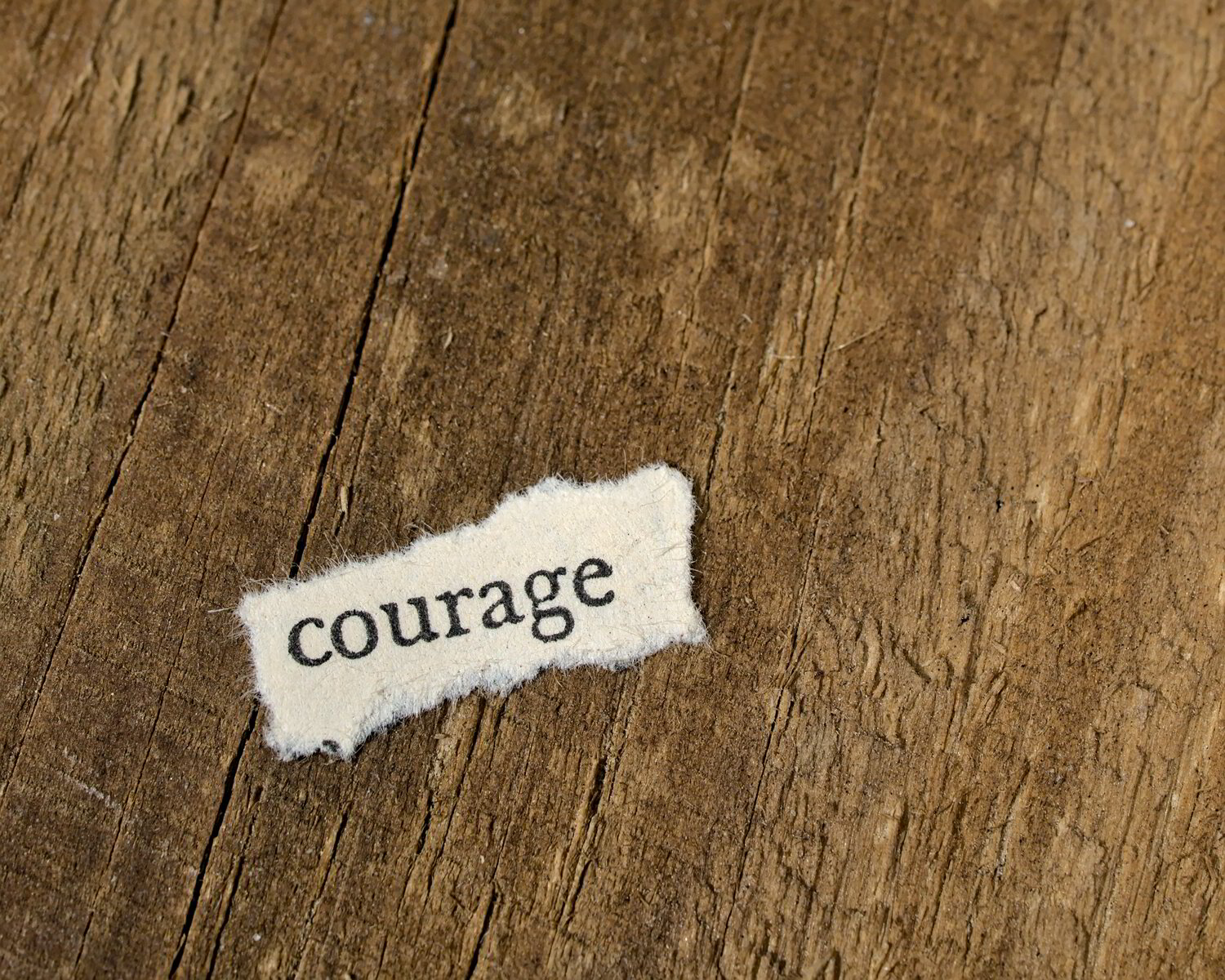 Psalms of Assurance - A Psalm of Courage