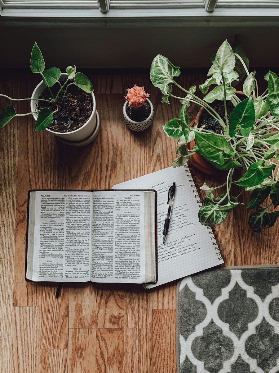 Psalms of Assurance - Noticing God's Goodness
