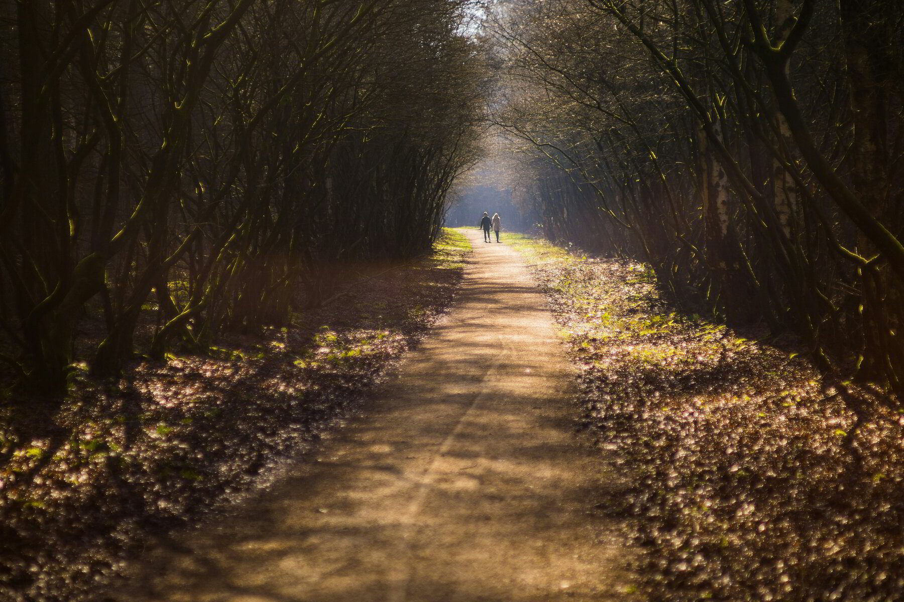 Savoring Easter - The Walk to Emmaus