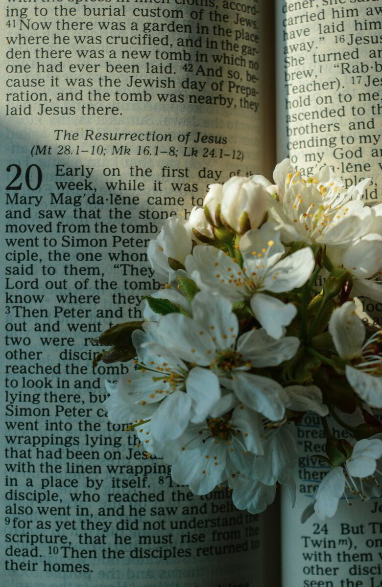 Resisting Jesus – Resisting Easter