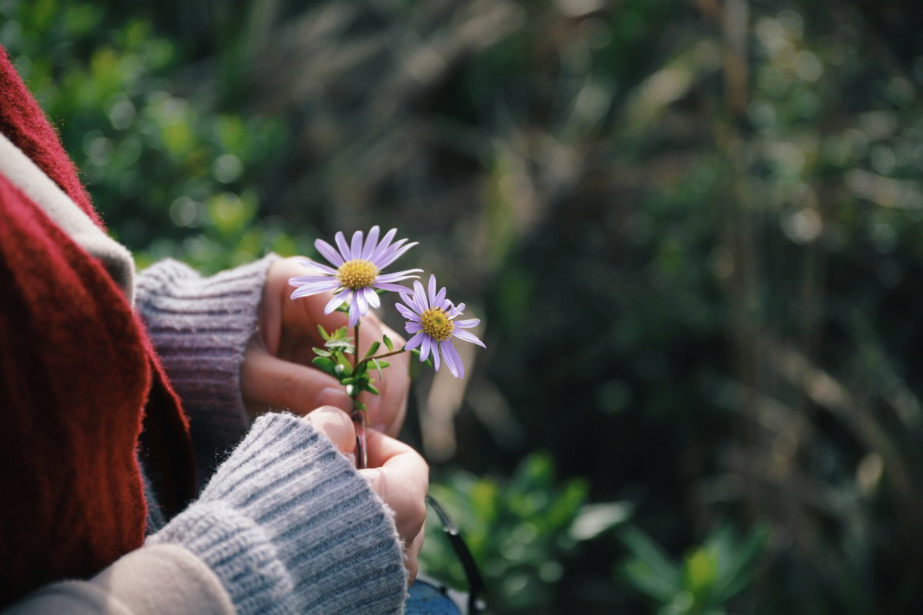 Finding Hope When It's Hard - When Forgiveness Seems Impossible