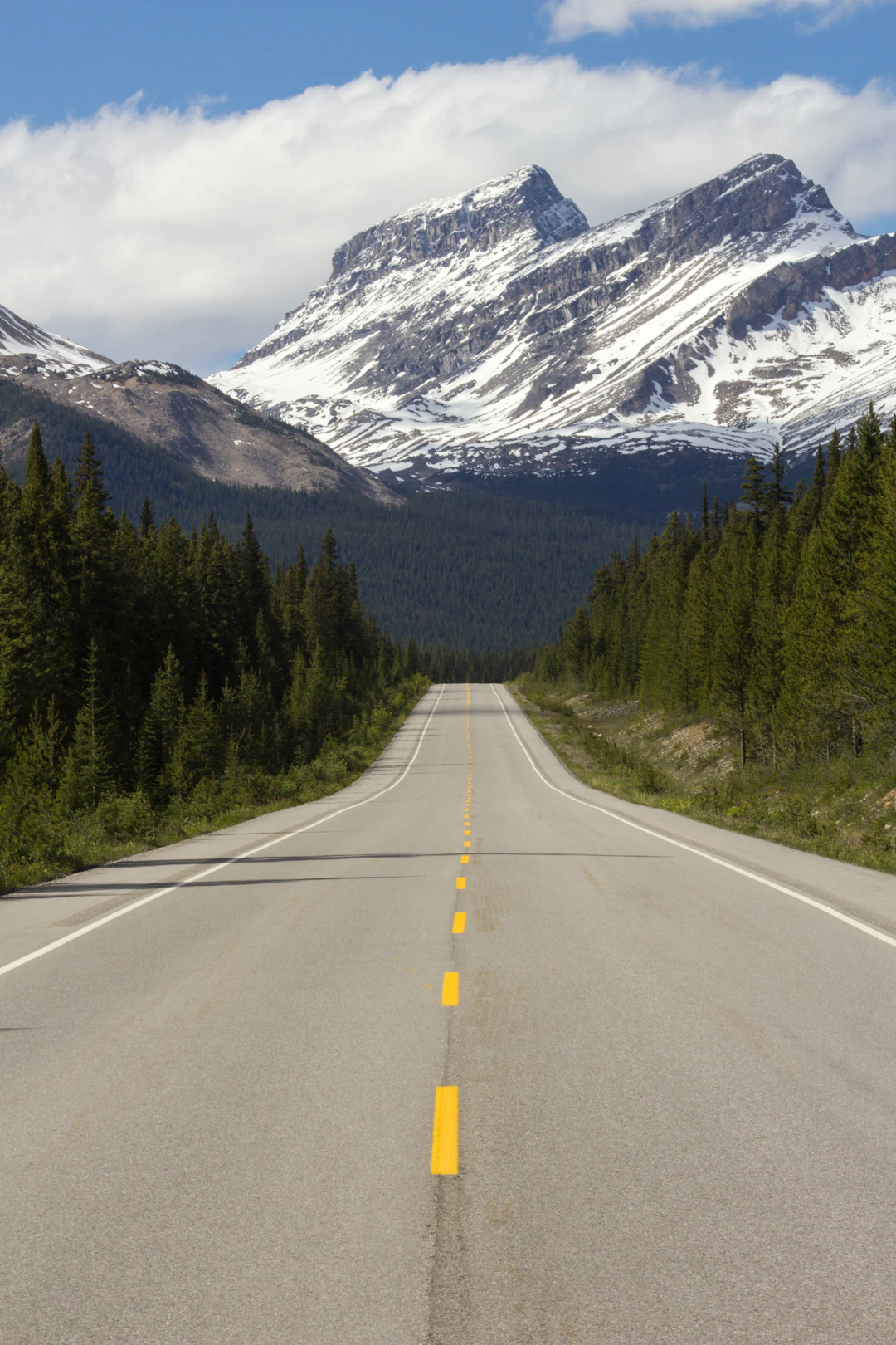 The Hope I Seek - Taking The Long Way Home - A  Pilgrimage of Hope