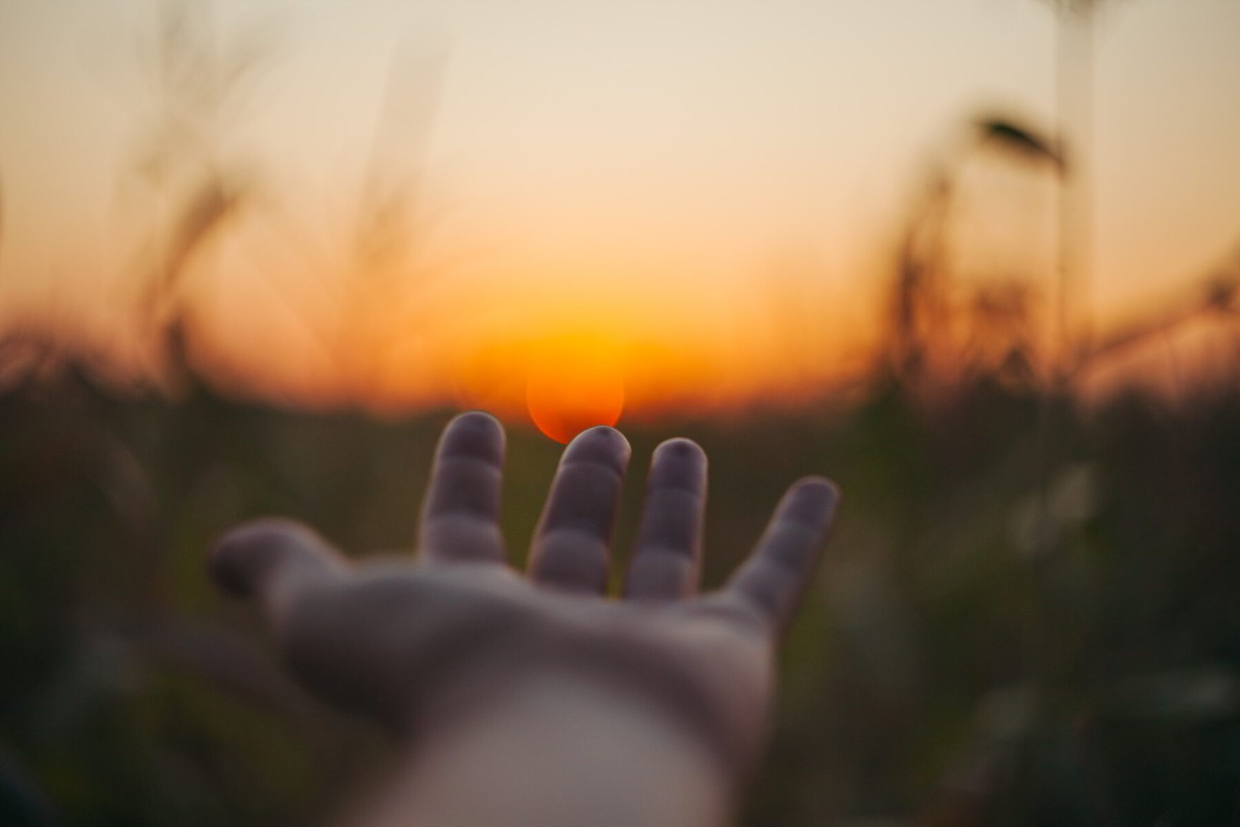 Resisting Jesus – Resisting Healing