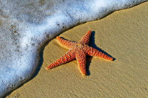 The Hope I Seek - Freedom to Live with God