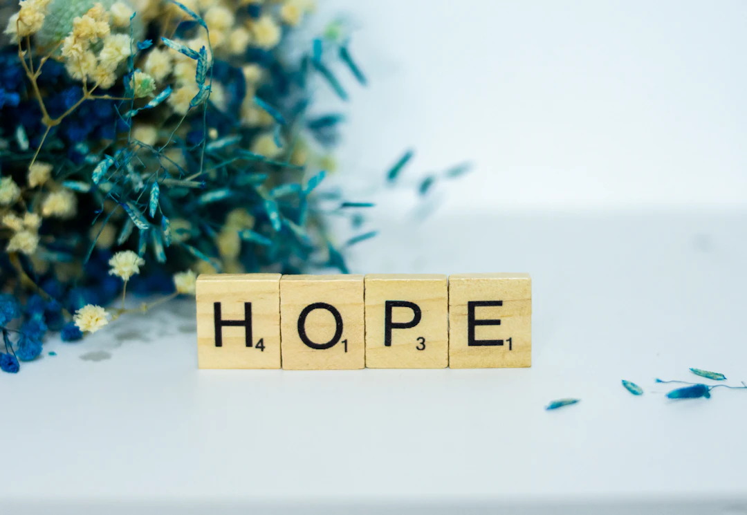 The Hope I Seek - What is the Hope You Seek?