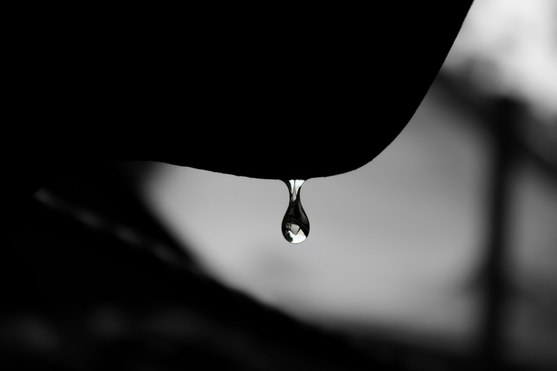Beatitudes of Hope - Blessed Are the Clean of Heart, They Shall See God
