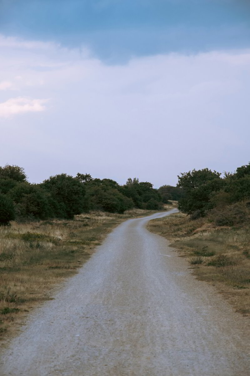 Lived Hope - Jesus Meets Us Along the Way