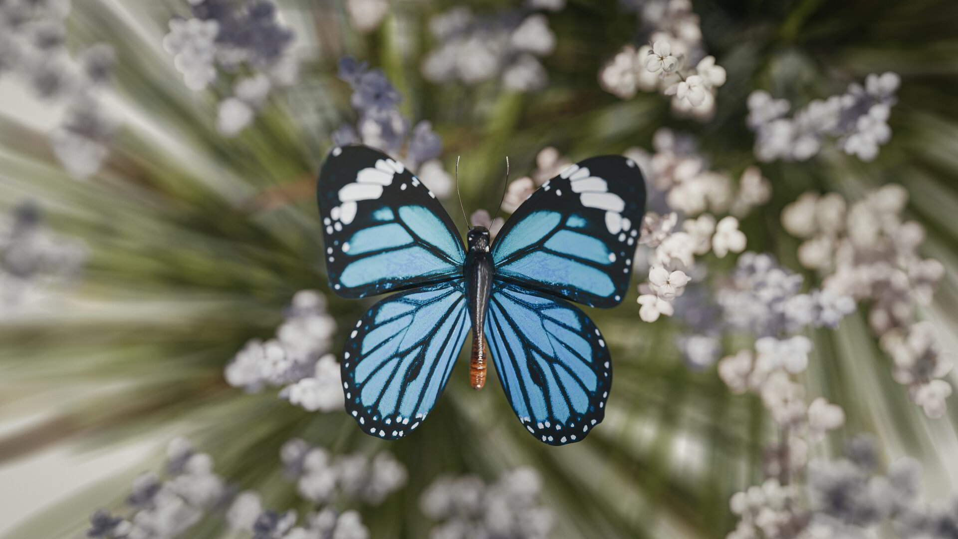 Hope in Listening to the Spirit - Blue Butterflies of Hope