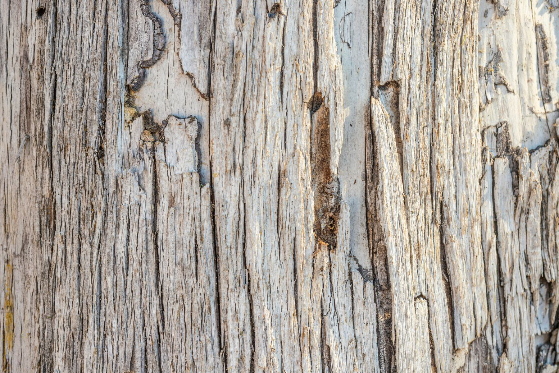 Encountering the Pain of the Cross—On Each of My Dyings