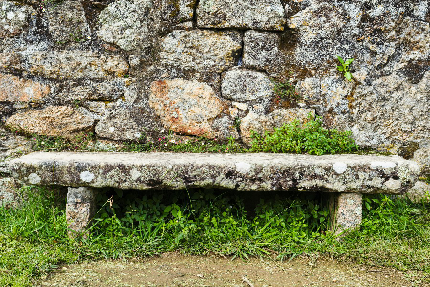 Encountering Christ in the Gospels—Mare
