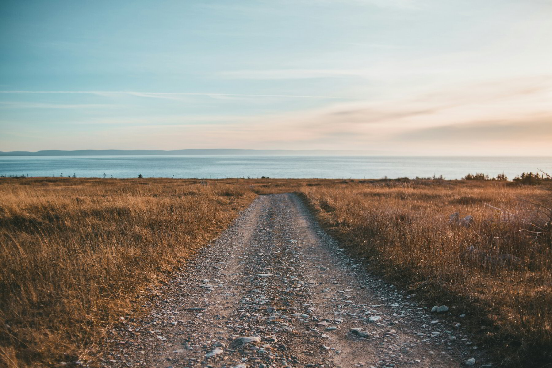 Encountering Christ in the Gospels—Meeting Christ on the Road
