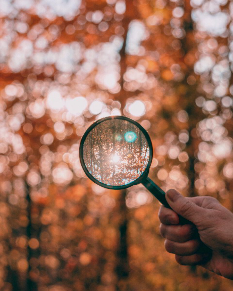 Encountering Holy Desire—Zoomed-in on Unmet Dreams