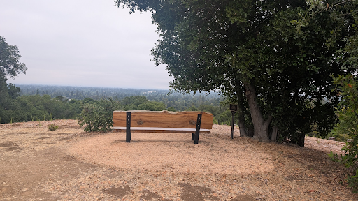 Encountering Holy Desire—Finding God in the Longing